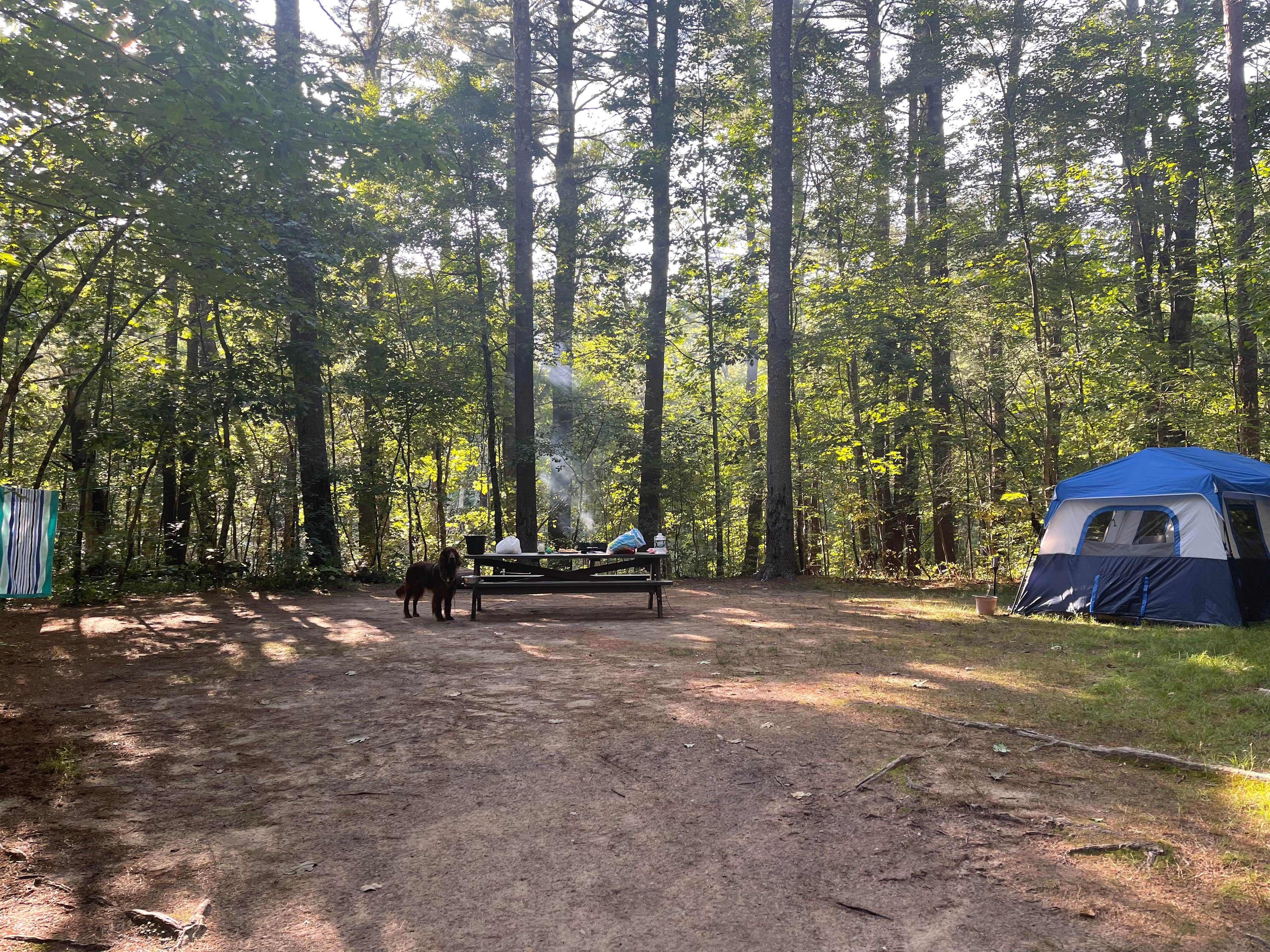 Cheryl B.'s photo at Lorraine Park Campground — Harold Parker State Forest near North Reading, MA