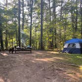 Review photo of Lorraine Park Campground — Harold Parker State Forest by Cheryl B., September 8, 2021