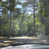 Review photo of Lorraine Park Campground — Harold Parker State Forest by Cheryl B., September 8, 2021