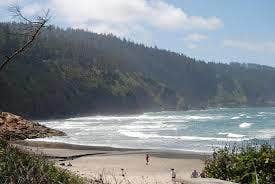 Camper submitted image from Cape Lookout State Park Campground - 3
