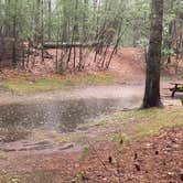 Review photo of Lorraine Park Campground — Harold Parker State Forest by Cheryl B., September 8, 2021