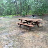 Review photo of Lorraine Park Campground — Harold Parker State Forest by Cheryl B., September 8, 2021