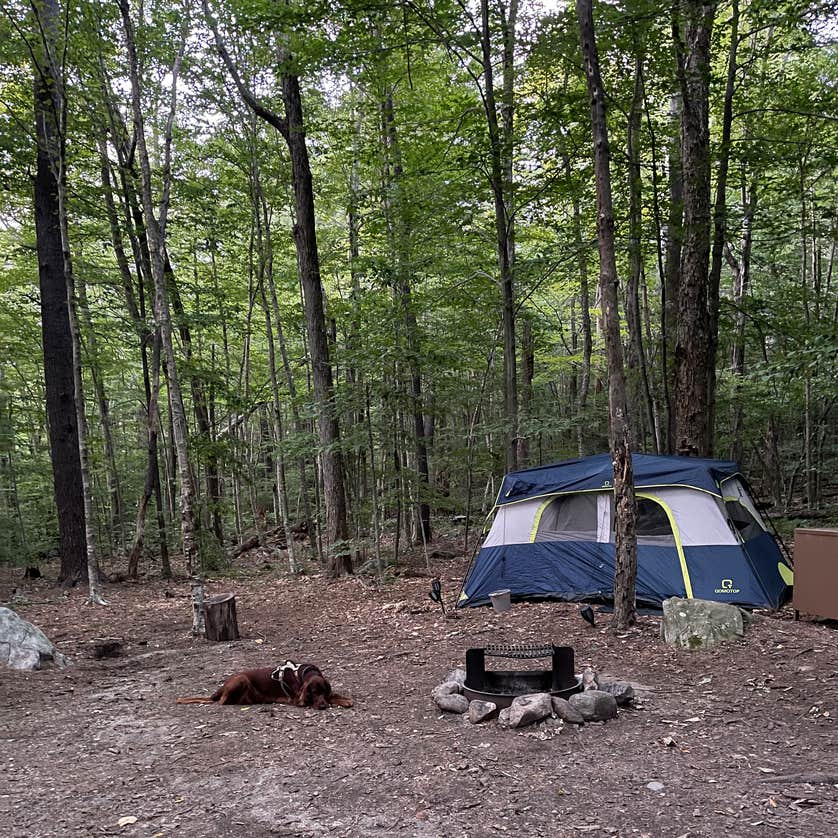 Tolland State Forest Camping | Tolland, MA