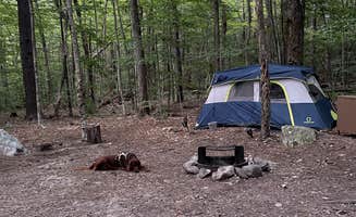 Cheryl B.'s photo at Tolland State Forest Campground near Russell, MA