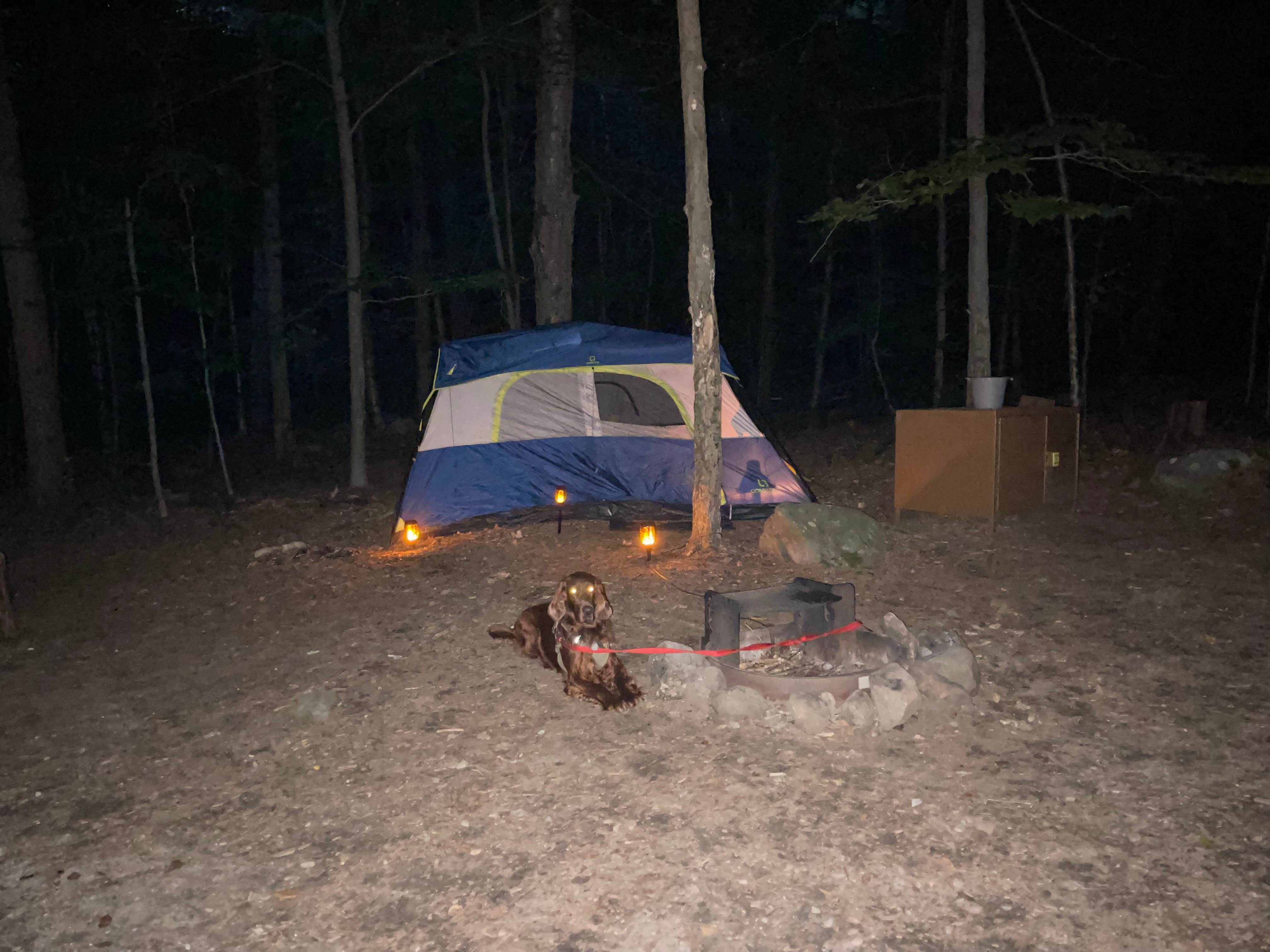 Cheryl B.'s photo at Tolland State Forest Campground near Russell, MA