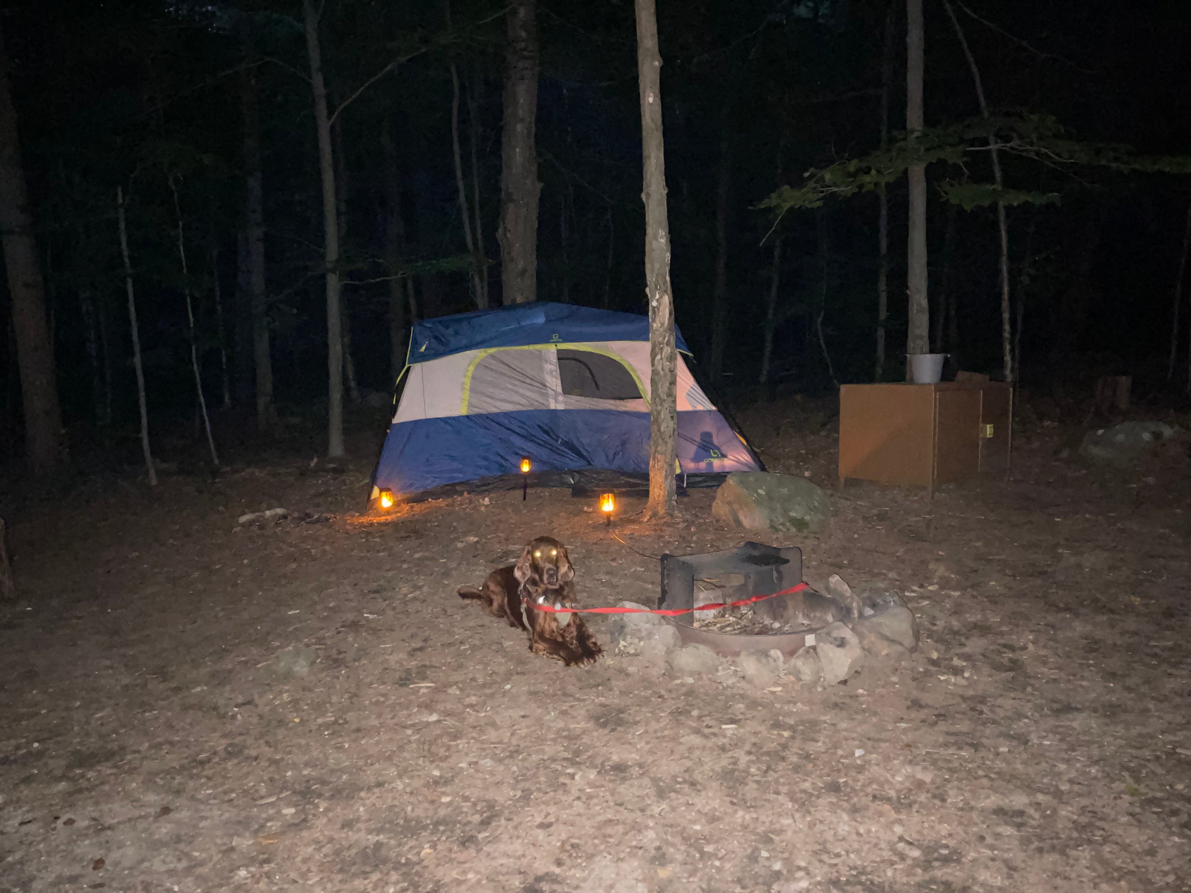 Camper submitted image from Tolland State Forest - 4