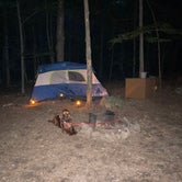 Review photo of Tolland State Forest by Cheryl B., September 8, 2021