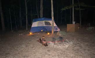 Cheryl B.'s photo at Tolland State Forest Campground near Riverton, CT