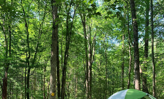 Camping near Gifford Pinchot State Park Campground: Deer Run Campgrounds, Mount Holly Springs, Pennsylvania