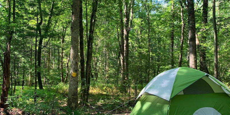 Camper submitted image from Deer Run Campgrounds