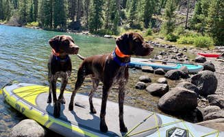Molly P.'s photo of camping with pets at Green River Lakes Campground near Dubois, WY