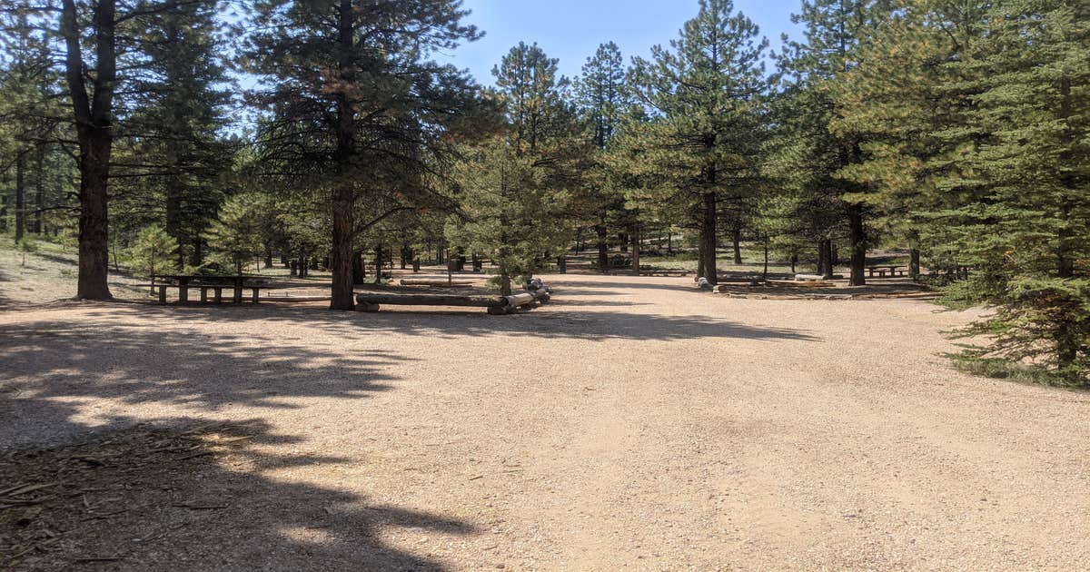 Dixie National Forest King Creek Group Site Camping | The Dyrt