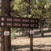 Review photo of Dixie National Forest King Creek Group Site by Greg L., September 8, 2021