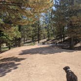 Review photo of Dixie National Forest King Creek Group Site by Greg L., September 8, 2021