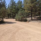 Review photo of Dixie National Forest King Creek Group Site by Greg L., September 8, 2021