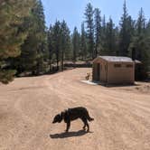 Review photo of Dixie National Forest King Creek Group Site by Greg L., September 8, 2021