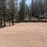 Review photo of Dixie National Forest King Creek Group Site by Greg L., September 8, 2021