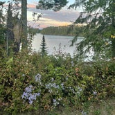 Review photo of Scenic State Park Campground by Jenna C., September 8, 2021