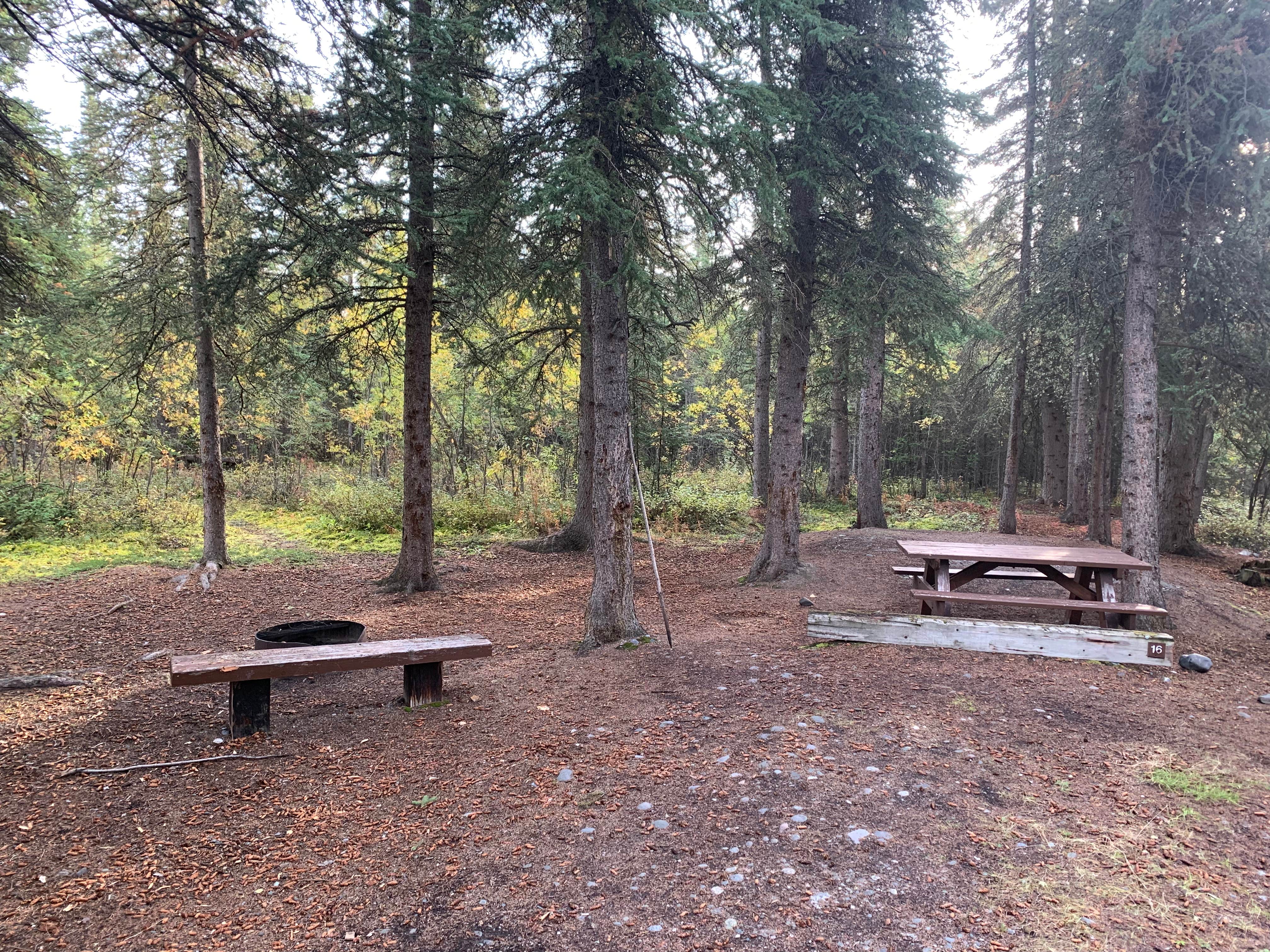 SJ D.'s photo at Dry Creek State Rec Area near Gakona, AK