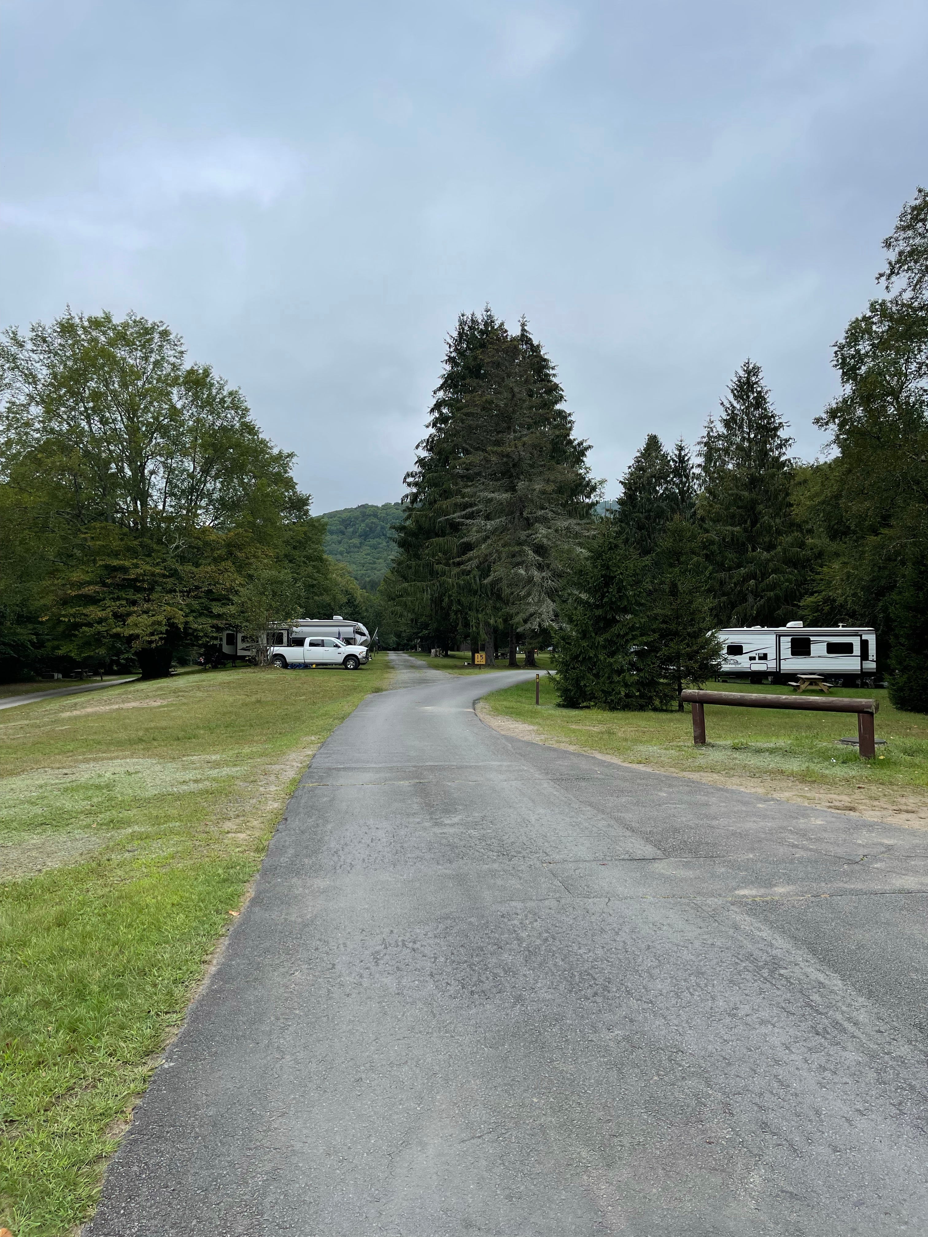 Camper submitted image from Beaverkill Campground - 3
