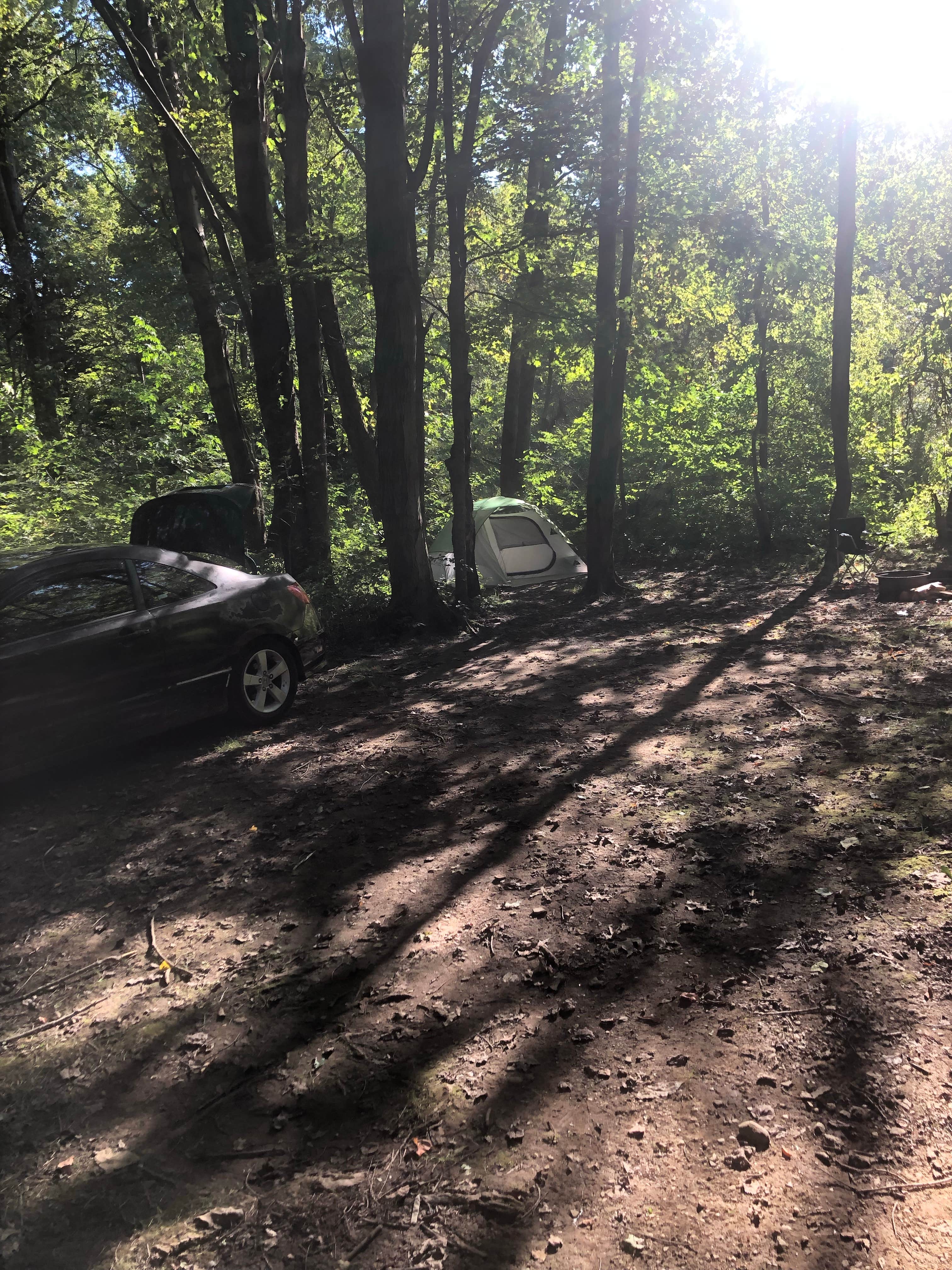 Eli S.'s photo at Nelson-Kennedy Ledges Quarry Park near Lake Milton, OH