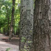 Review photo of Nelson-Kennedy Ledges Quarry Park by Eli S., September 7, 2021