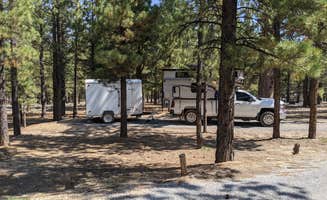 Greg L.'s photo at Kings Creek near Bryce Canyon National Park