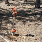 Review photo of Dixie National Forest King Creek Group Site by Greg L., September 8, 2021