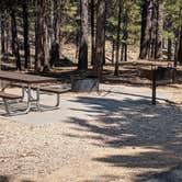 Review photo of Dixie National Forest King Creek Group Site by Greg L., September 8, 2021