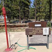 Review photo of Dixie National Forest King Creek Group Site by Greg L., September 8, 2021