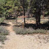 Review photo of Dixie National Forest King Creek Group Site by Greg L., September 8, 2021