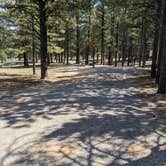 Review photo of Dixie National Forest King Creek Group Site by Greg L., September 8, 2021