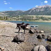 Review photo of Green River Lakes Campground by Molly P., September 8, 2021