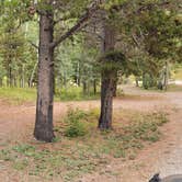 Review photo of Red Eagle Campground by Nancy C., September 8, 2021