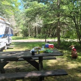 Review photo of Hog Island Point State Forest Campground by Shannyn W., September 8, 2021