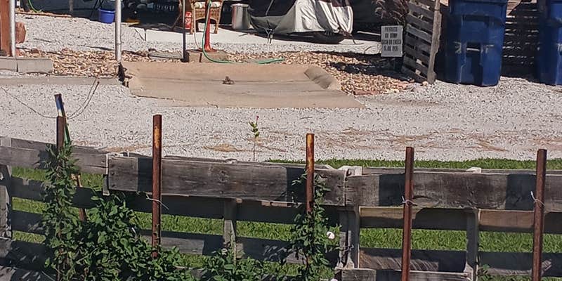 Camper submitted image from Just One More Campground