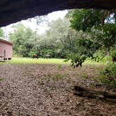 Review photo of Sea Camp Campground — Cumberland Island National Seashore by Kevin S., September 8, 2021