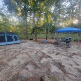 Review photo of Bass River State Forest by William W., September 8, 2021