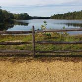 Review photo of Wharton State Forest Mullica Campground by William W., September 8, 2021