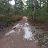 Review photo of Wharton State Forest Mullica Campground by William W., September 8, 2021