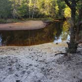 Review photo of Wharton State Forest Mullica Campground by William W., September 8, 2021