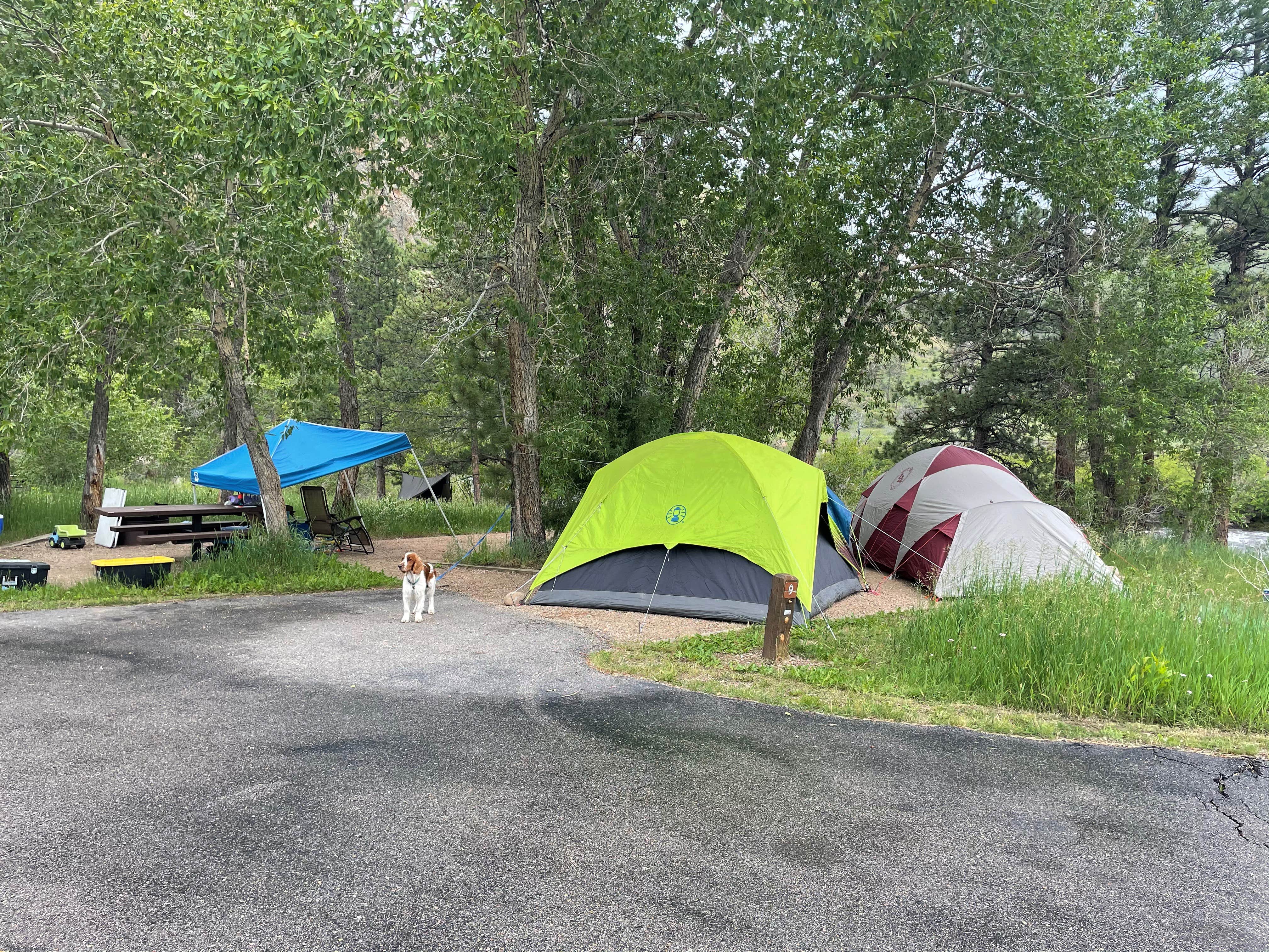 D.'s photo at Dutch George Campground near Arapaho & Roosevelt National Forests Pawnee NG