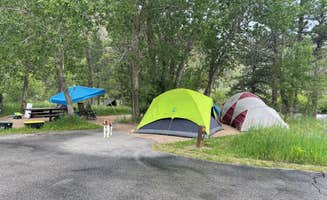 D.'s photo at Dutch George Campground near Laporte, CO