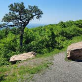 Review photo of High Point State Park Campground by William W., September 8, 2021