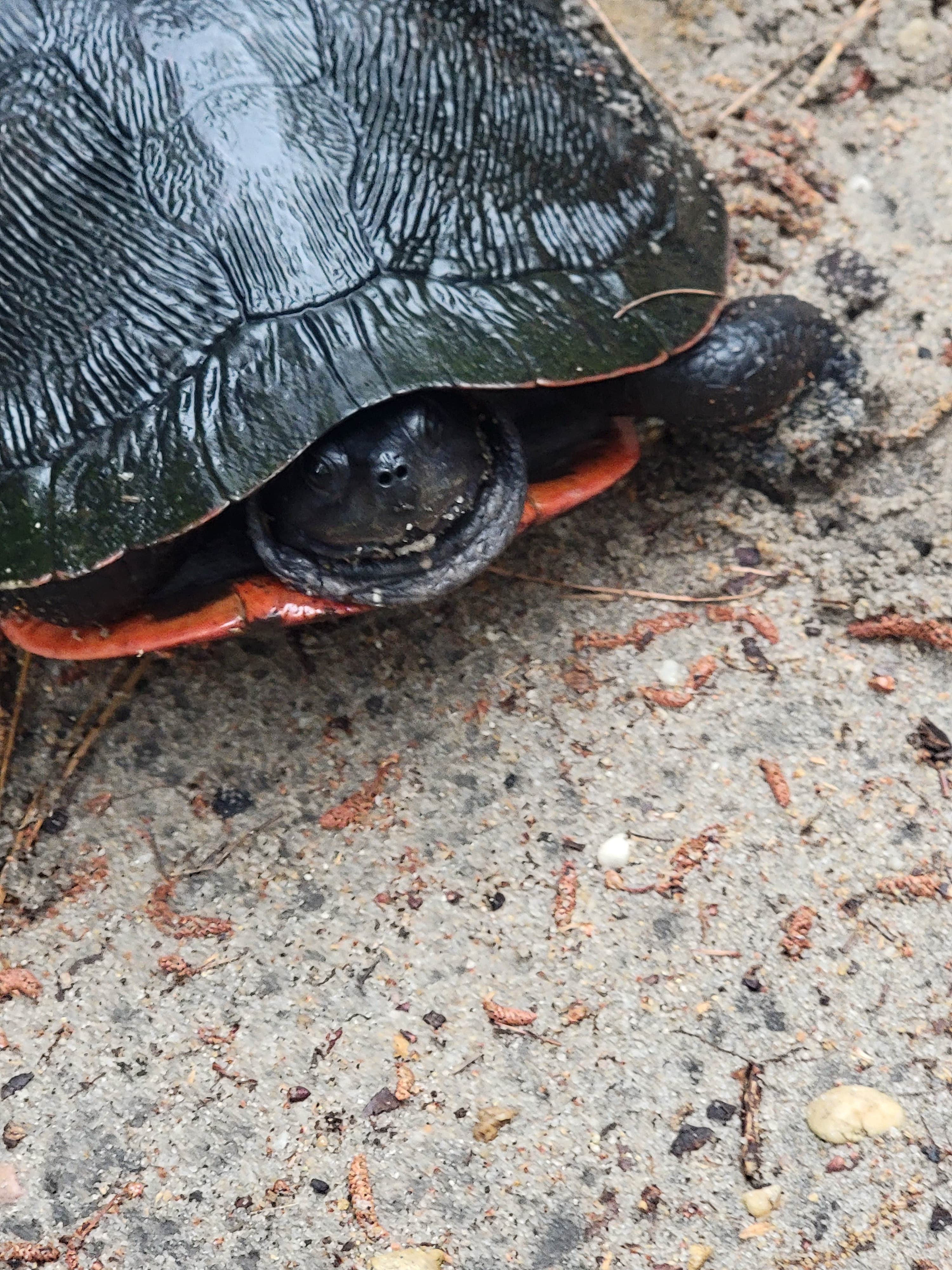 Camper-submitted photo at Parvin State Park Campground near Downe, NJ