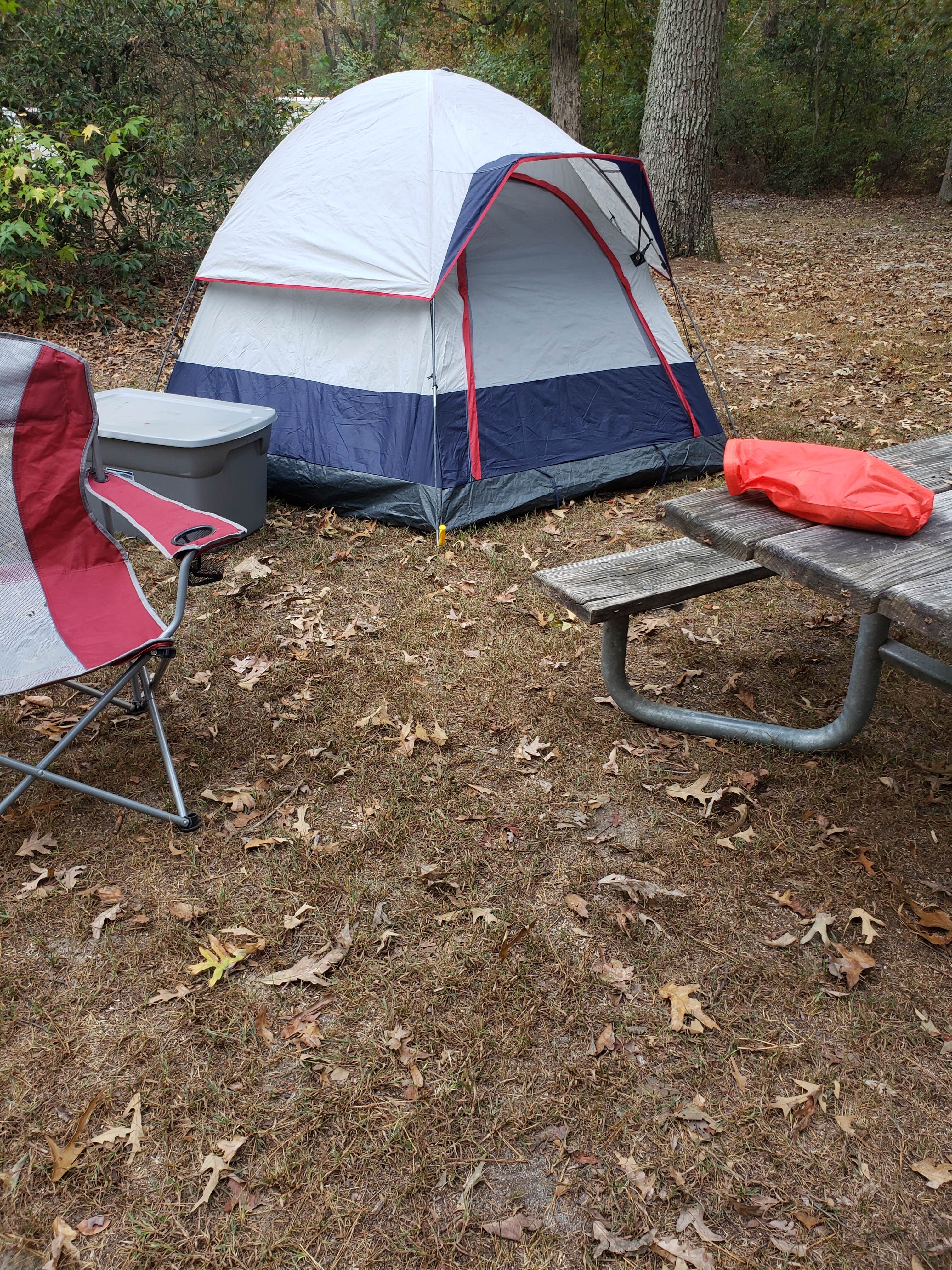 William W.'s photo at Parvin State Park Campground near Middletown, DE
