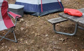 William W.'s photo at Parvin State Park Campground near Woodbury, NJ