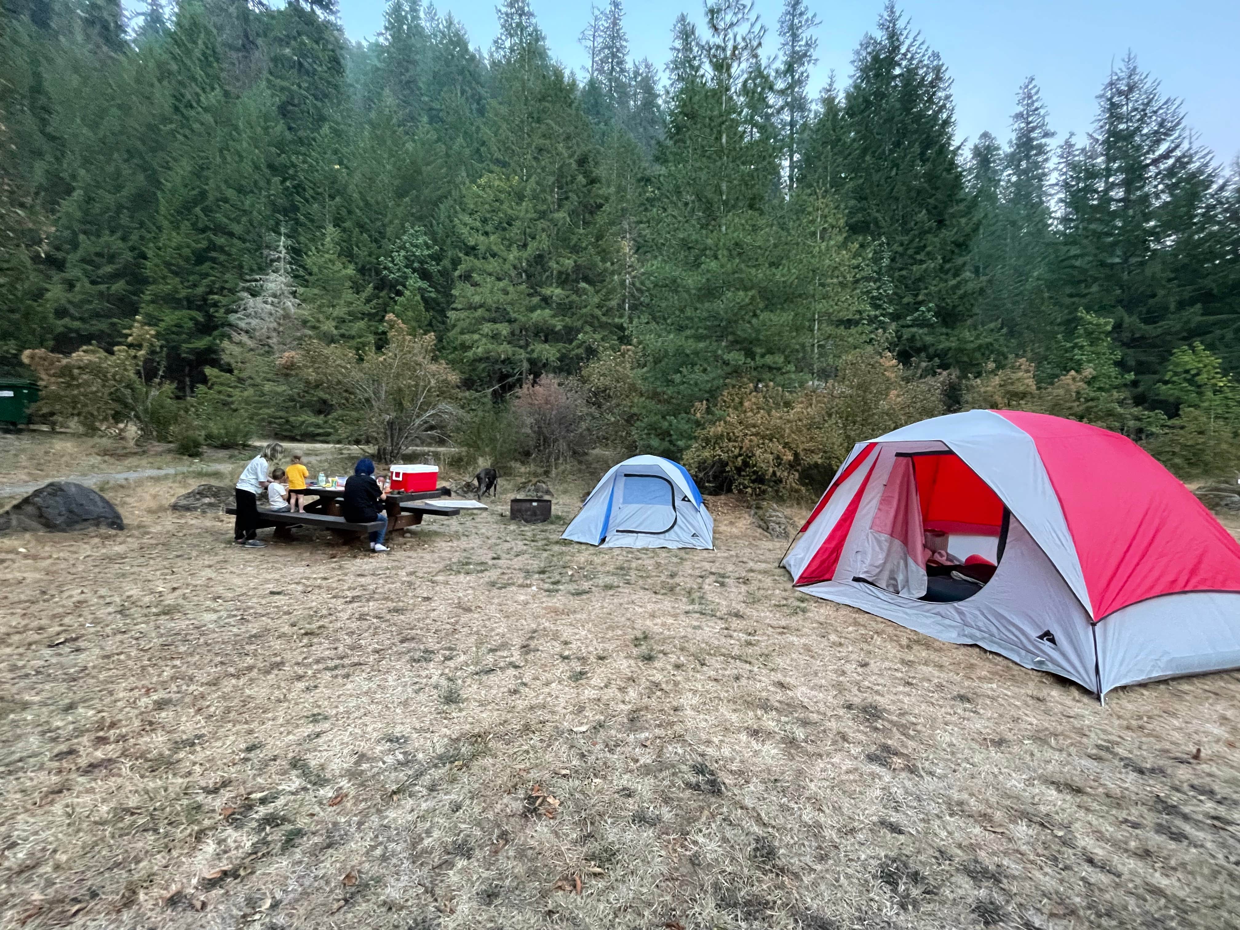Angel G.'s photo at Lookout Campground near Foster Lake