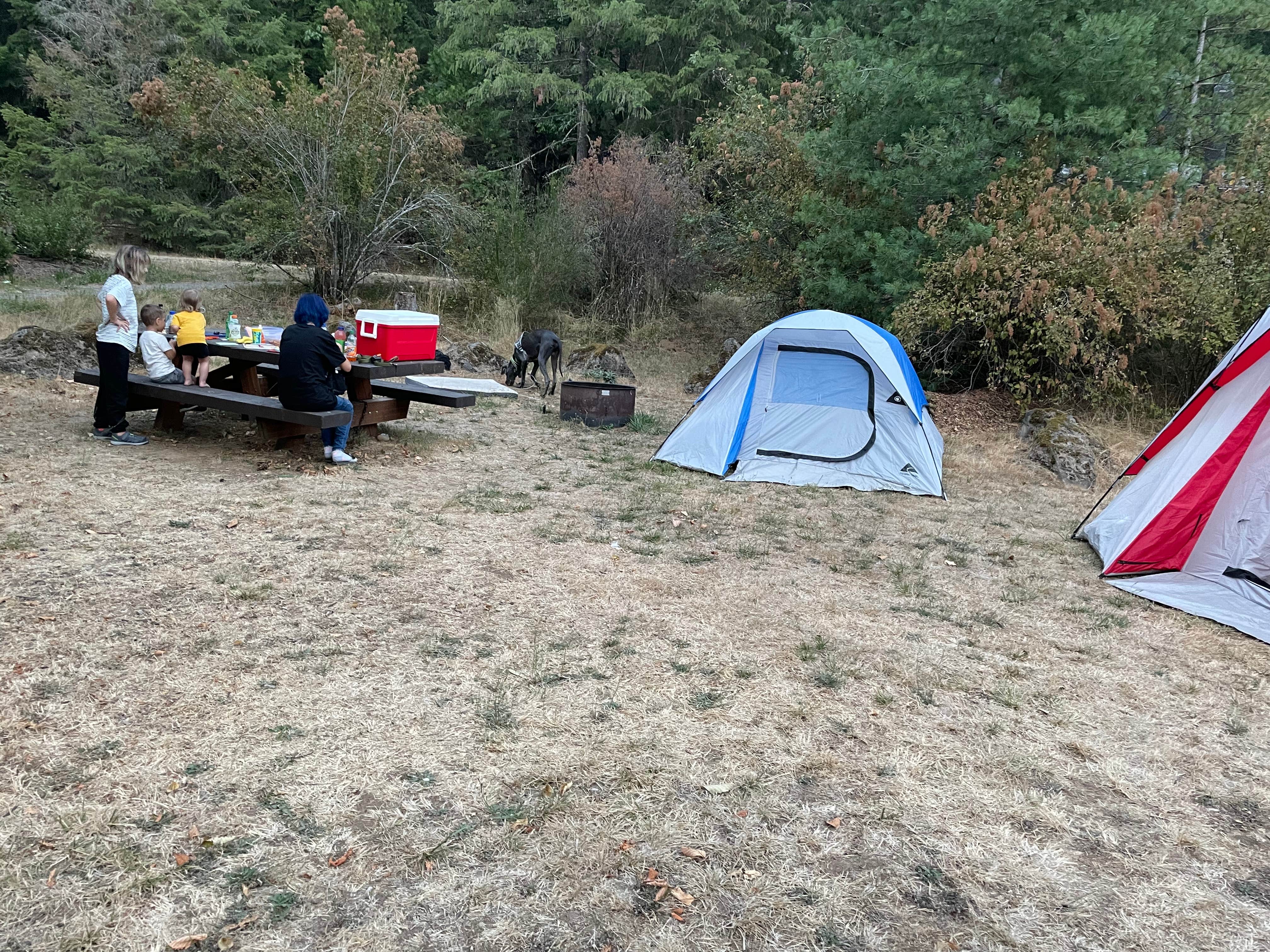 Camper submitted image from Lookout Campground - 4