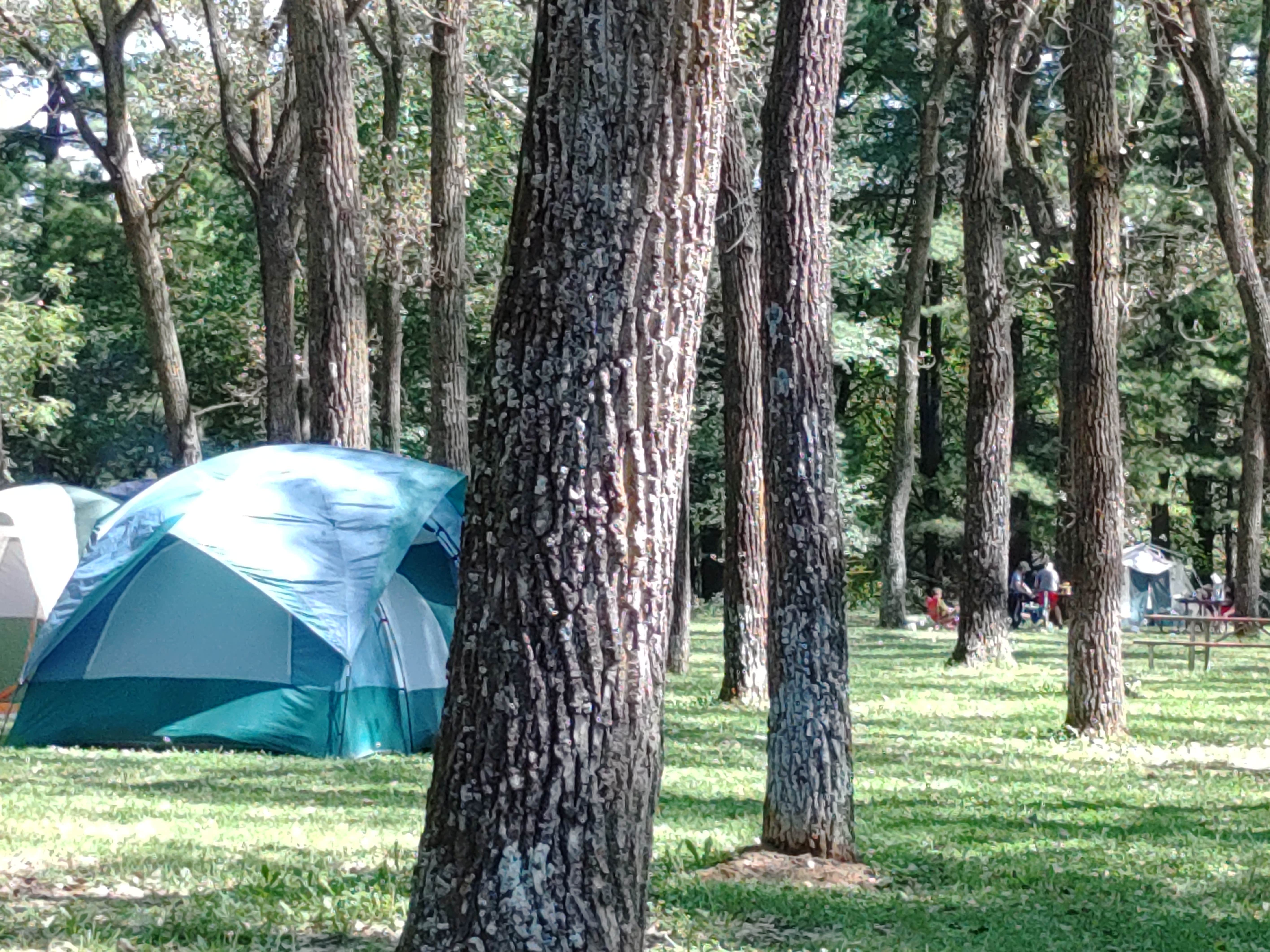 James M.'s photo at Cottonwood Campground/Coralville Lake (COE) near West Liberty, IA